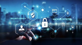 云服务器 vs 传统服务器 网络技术服务的新纪元